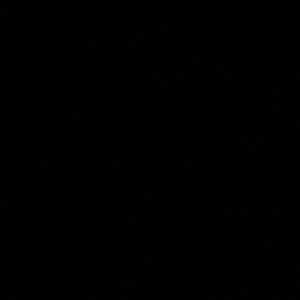 Meet your Posher, Joey